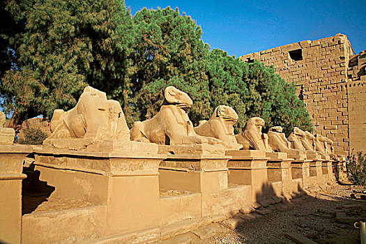 埃及,路克索神庙,道路,狮身人面像,寺庙,卡尔纳克神庙