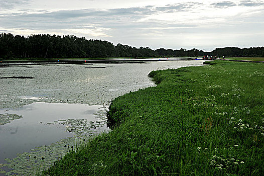 河北承德坝上,国家一道风景大道,夏日风景