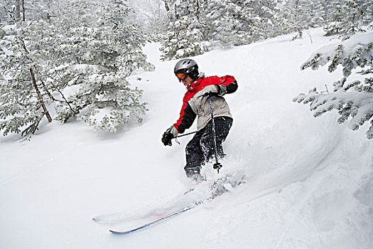 美国,佛蒙特州,专家,男性,青少年,滑雪者,滑雪,粉状雪,树