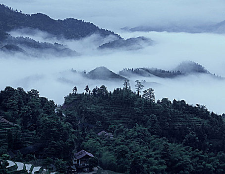 湖南娄底新化紫鹊界梯田,春季