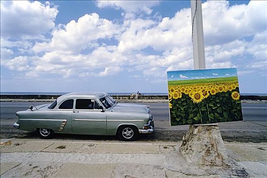 描绘,向日葵,路灯柱,出售,马雷贡,哈瓦那,古巴,加勒比海