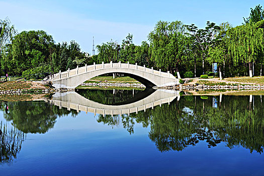 公园里的石拱桥