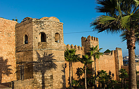 拉巴特,摩洛哥,漂亮,日落,墙壁,棕榈树