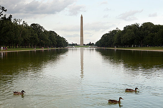 华盛顿纪念碑,倒影,华盛顿特区,美国
