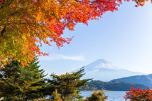 山,富士山,秋天,湖,日本