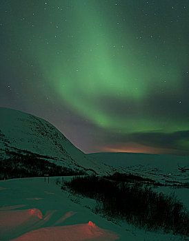 北极光,上方,积雪,山,夜晚,挪威
