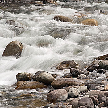 水,上方,石头,不列颠哥伦比亚省,加拿大