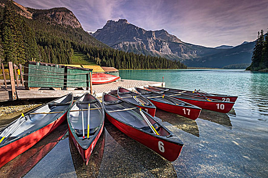 红色,独木舟,翡翠湖,后背,山脉,加拿大,落矶山