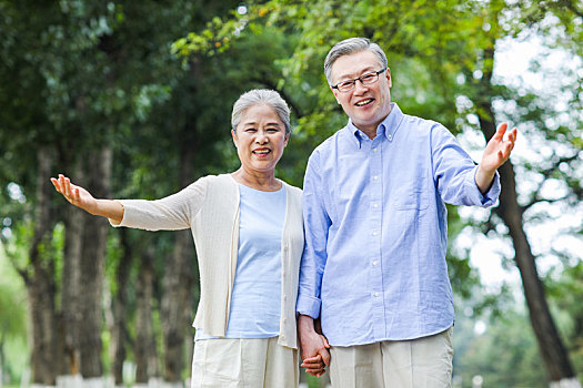 幸福的老年夫妇肖像