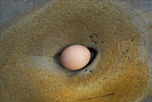 蛋,洞,石头