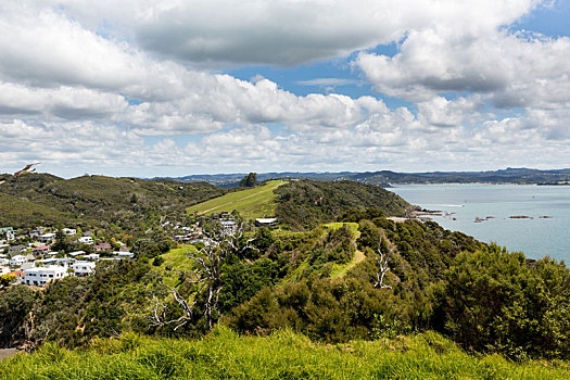 风景,靠近,岛屿湾,新西兰