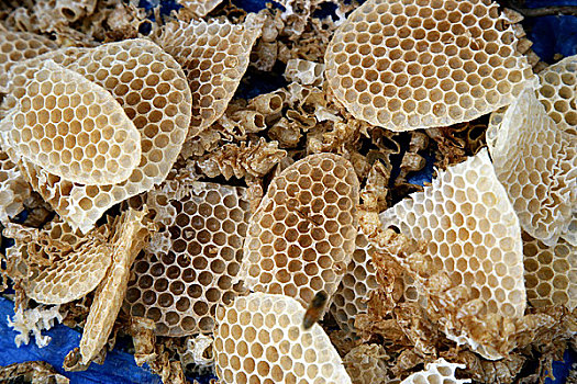 蜂蜡是工蜂腹部下面四对蜡腺分泌购物质