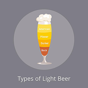 亮光,啤酒,美洲,泡沫,不同,彩色,隔绝,矢量,插画,灰色