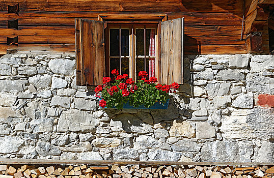 窗户,红色,天竺葵,农舍,格罗塞尔,山谷,提洛尔,奥地利,欧洲