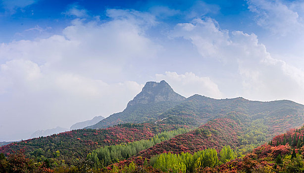 山峰树林