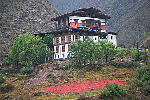 不丹,廷布,房子,山