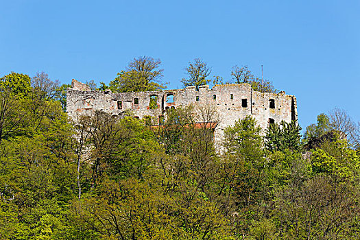 城堡遗迹,下巴伐利亚,巴伐利亚,德国,欧洲
