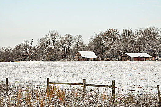 美国,阿肯色州,谷仓,土地,雪