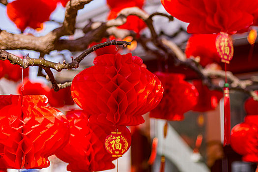 红灯笼,春节