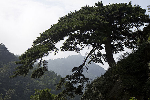 山东泰山风光