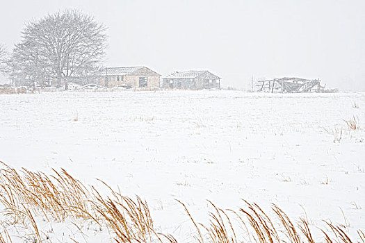 农舍,暴风雪,阿肯色州,美国