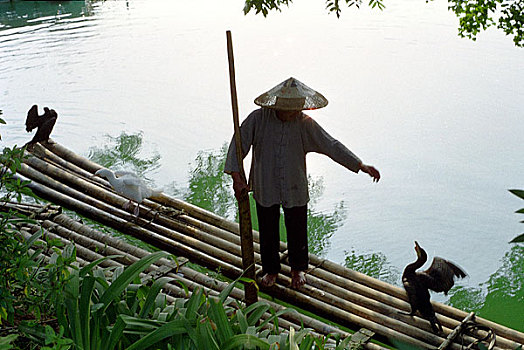 广西桂林漓江上的渔民和鱼鹰
