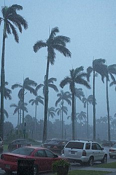 倾盆大雨,西部,棕榈海滩,佛罗里达,美国