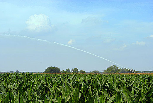 泵,喷气式飞机,浇水,玉米田,农田