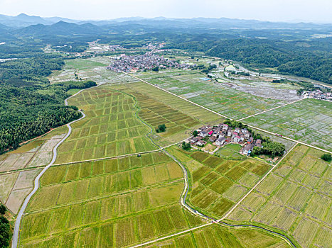 江西金溪,山村田园美