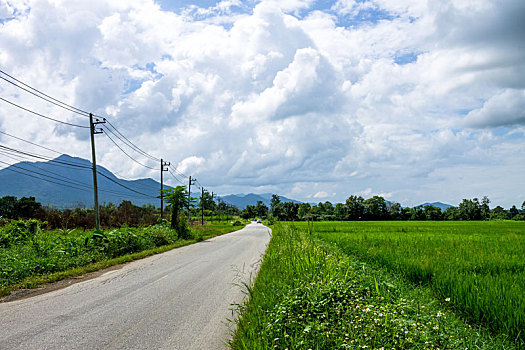 泰国,农业