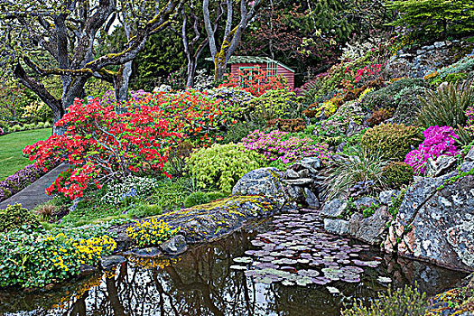 花园,时间,维多利亚,不列颠哥伦比亚省,加拿大