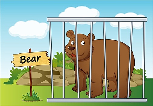熊,笼子