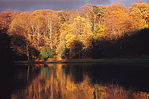 木头,风景,湖,河,北约克郡,20世纪,艺术家