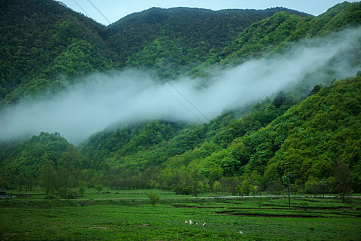 神农架,大九湖,风景,景点,旅游,高山,瀑布,河流,树木,植被,湿地,高原,湖泊,壮观