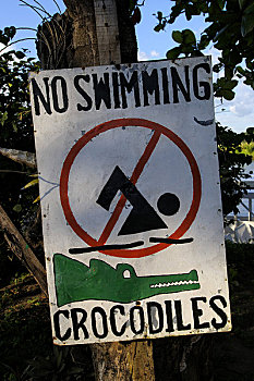 哥斯达黎加,游泳,鳄鱼,警告标识