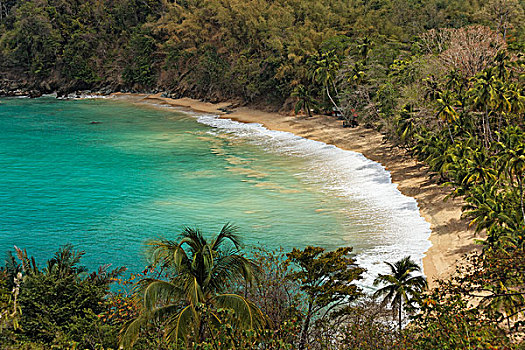 沙滩,多巴哥岛,特立尼达和多巴哥,北美