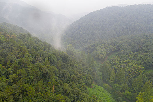 航拍西湖龙井村