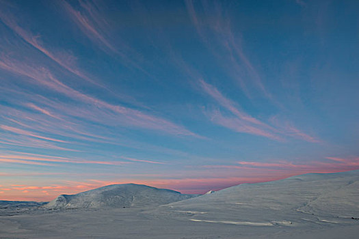 冬天,多云,晨空,国家公园,挪威,欧洲