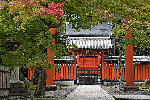 亚洲,日本,京都,寺庙