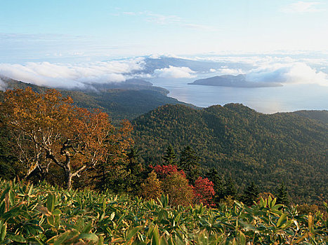 秋叶,屈斜路湖