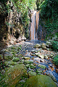 瀑布,植物园,苏佛里耶,不动产,西印度群岛