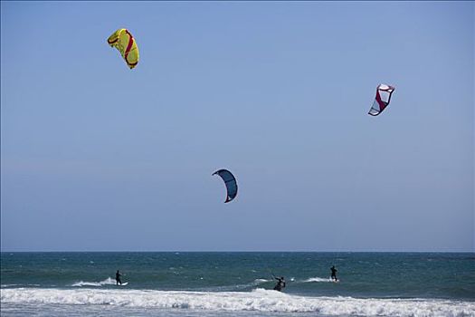 游客,风筝冲浪,上方,海洋,加利福尼亚,美国