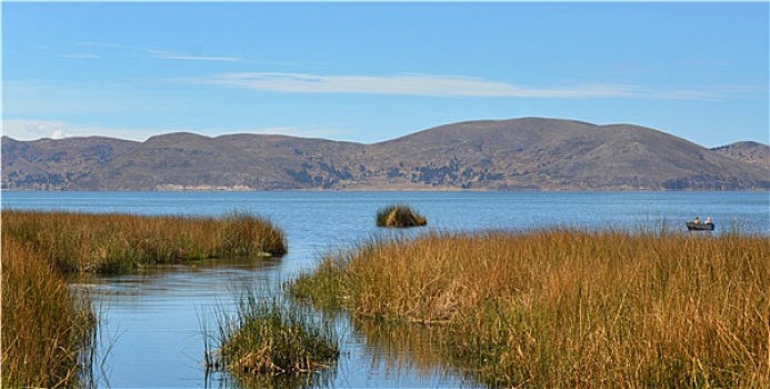 提提卡卡湖,芦苇,风景