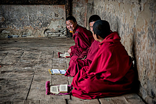 年轻,僧侣,寺院,不丹,读,佛教,文字,记忆,白天