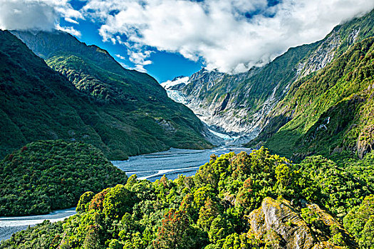 新西兰,南岛,西区国家公园,冰河,大幅,尺寸