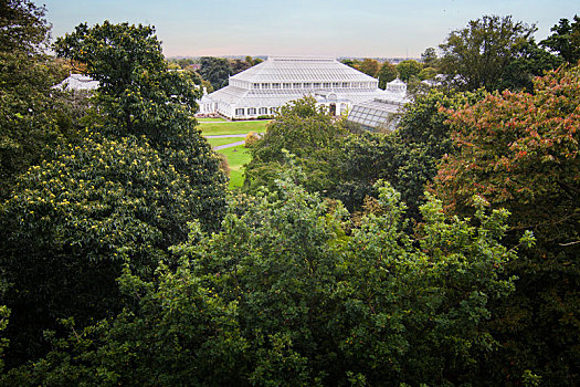 皇家植物园
