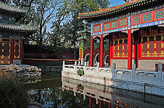 彩色,华丽,建筑,水边,北京,中国
