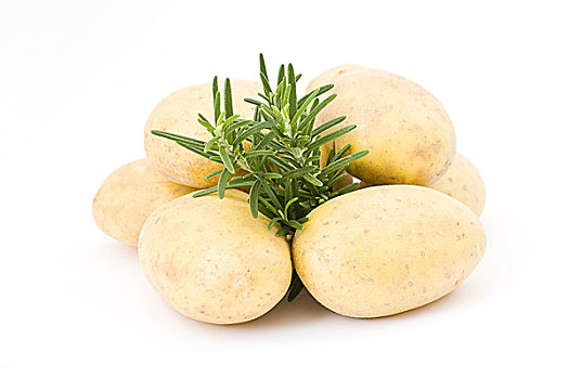 土豆,迷迭香