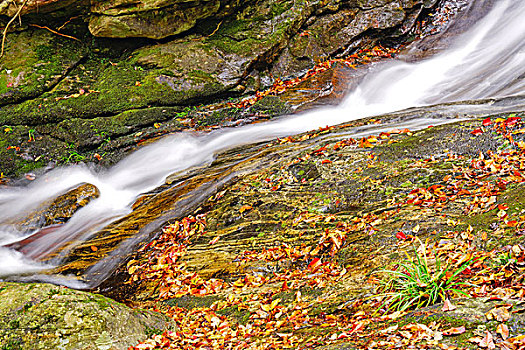 瀑布,流水,红叶