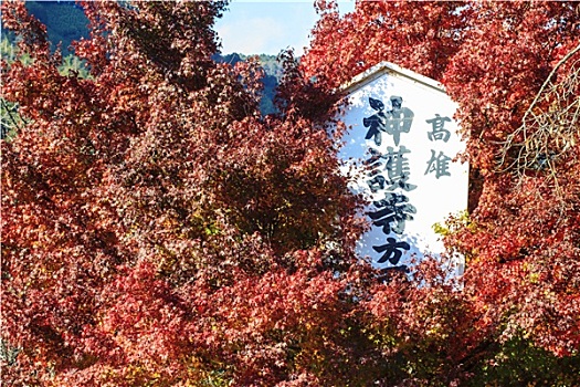 秋天,京都,日本